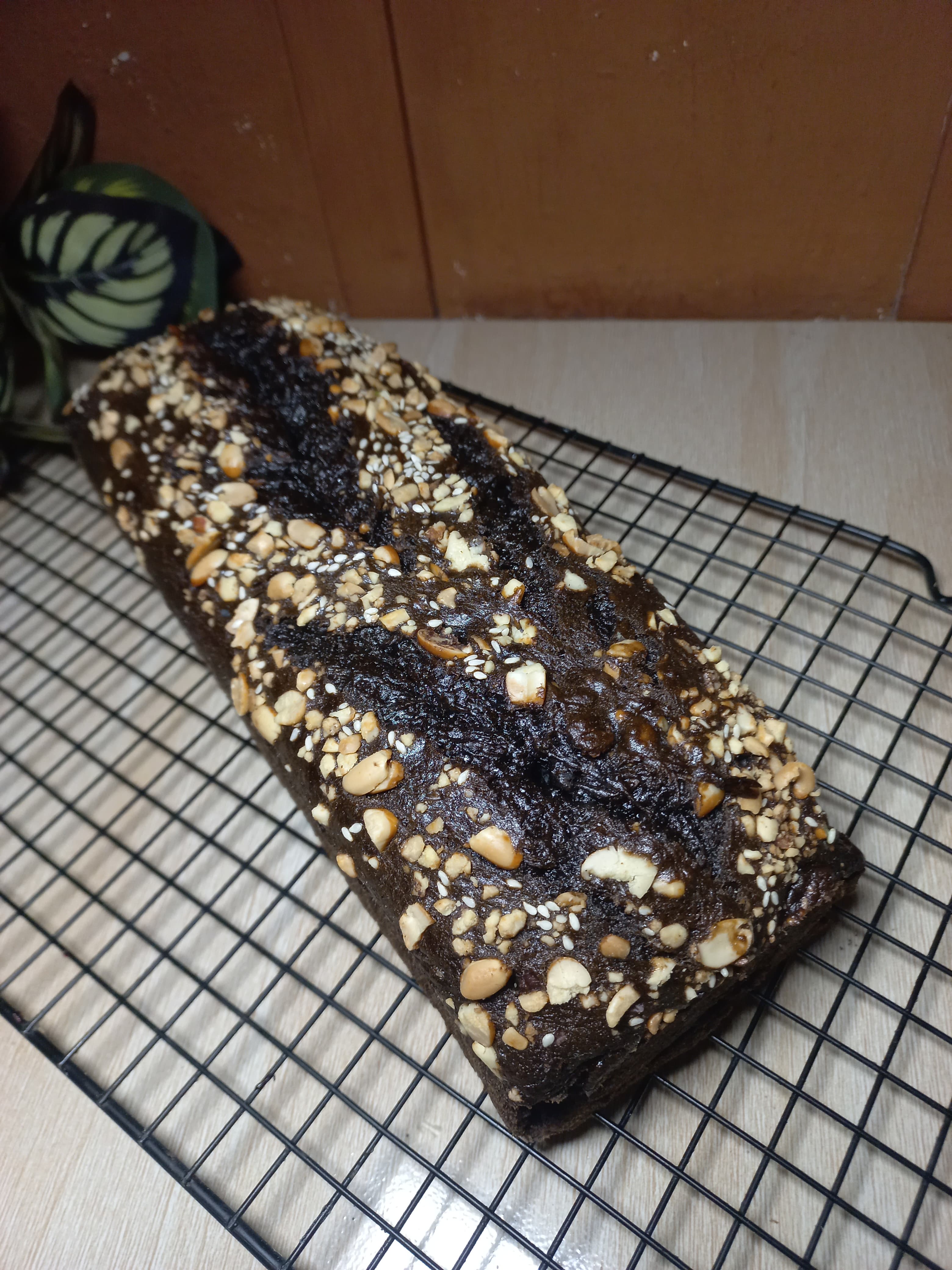 brownies coklat kacang